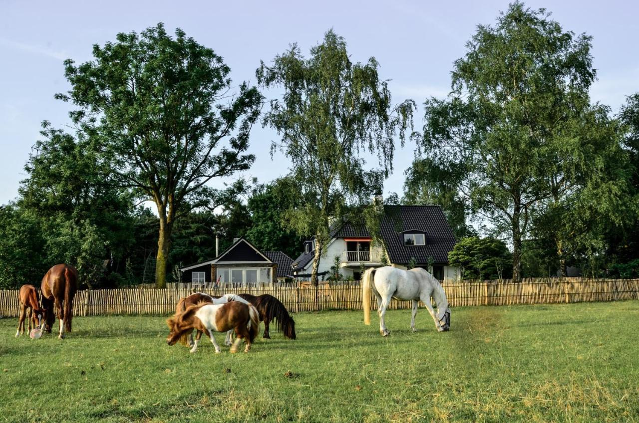 Bed & Breakfast De Zandhoef Eersel Kültér fotó