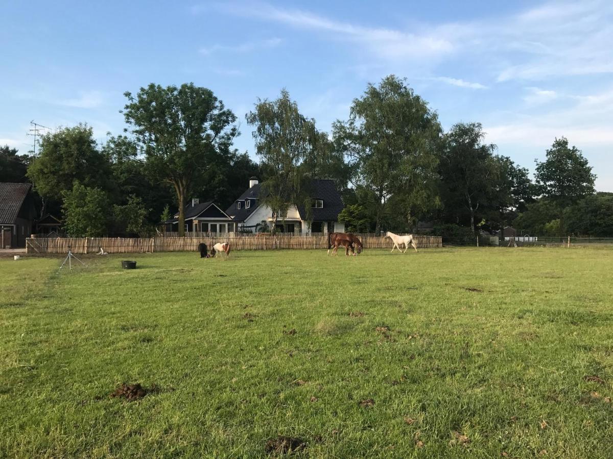 Bed & Breakfast De Zandhoef Eersel Kültér fotó